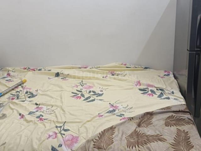 Flat for rent in Chandigarh, Union Territory Of Chandigarh