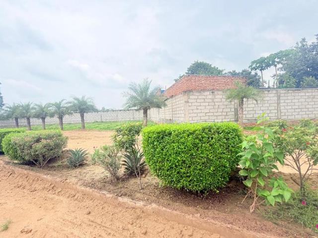 Flat for sale in Mathara, Arunachal Pradesh