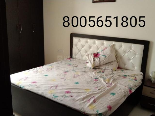 Flat for rent in Pink City, Rajasthan