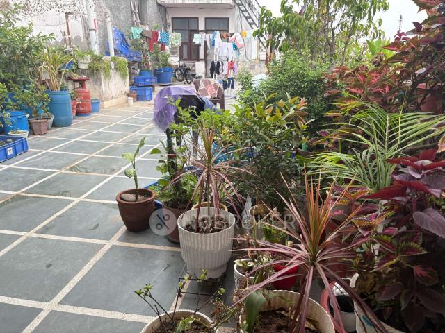 Flat for rent in Hariana