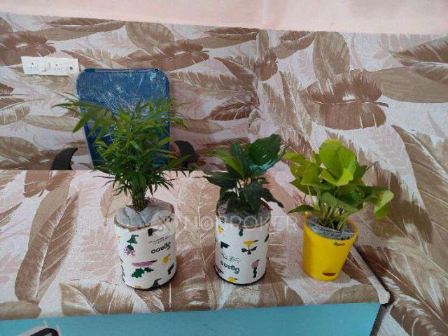 Flat for rent in Bhayandar, National Capital Territory Of Delhi