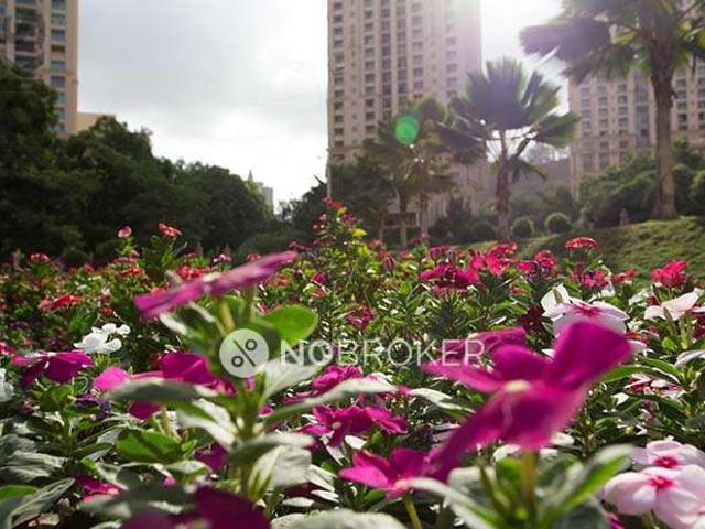 Flat for rent in Andheri - Mumbai, National Capital Territory Of Delhi