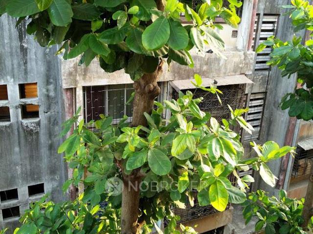 Flat for sale in Andheri - Mumbai, National Capital Territory Of Delhi