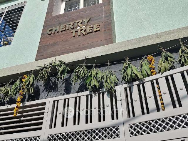Flat for rent in Bangalore East, Cox Town - Bangalore