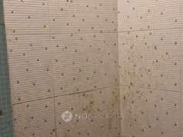 Property for rent in West Delhi, Deri