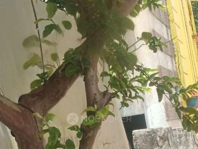 Property for rent in Haidarabad, Telangana