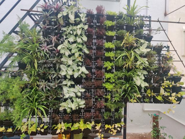 Property for rent in Poona, National Capital Territory Of Delhi