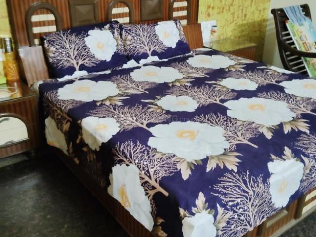 Flat for rent in Jalandhar, Punjab