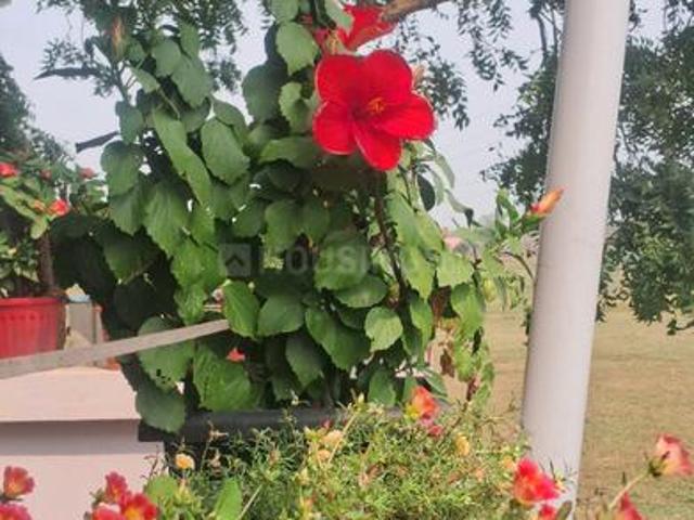 Flat for rent in Tamil Nadu