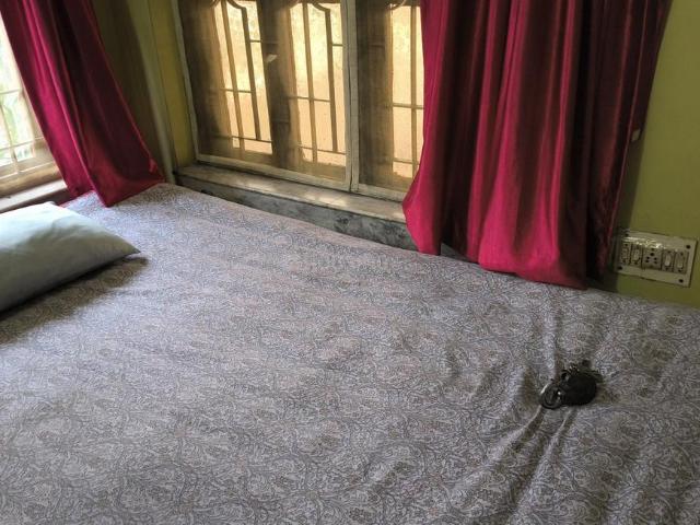 Flat for rent in North 24 Parganas, West Bengal