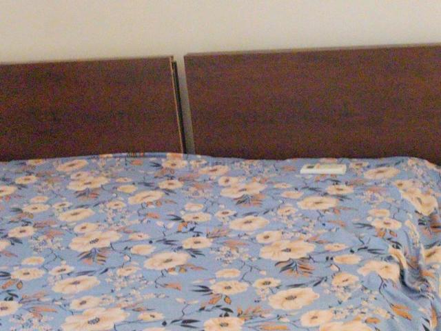 Flat for rent in Ludhiana, Punjab