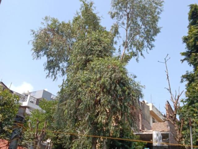House for rent in West Delhi, Deri