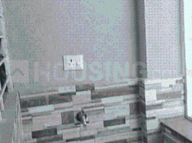 House for rent in Pune, Maharashtra