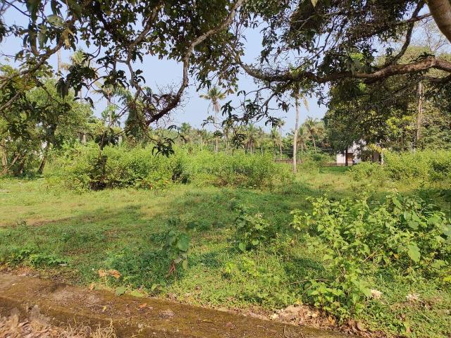 House for rent in Kerala