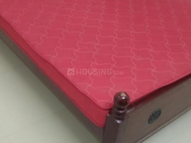 House for rent in Teynampet, Tamil Nadu
