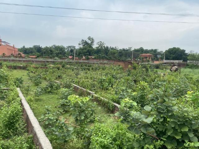House for rent in Chandil, Jharkhand