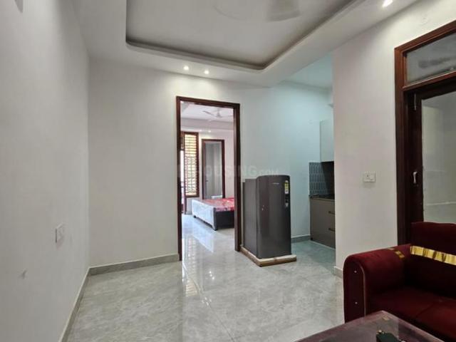 House for rent in South Delhi, Deri