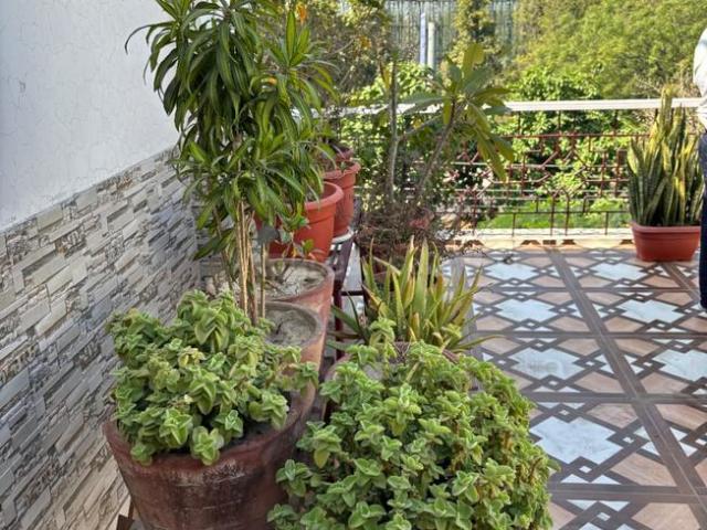 House for rent in Bahlolpur, Arunachal Pradesh