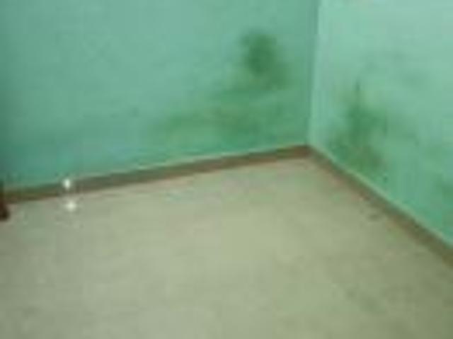 Property for rent in Poona, National Capital Territory Of Delhi