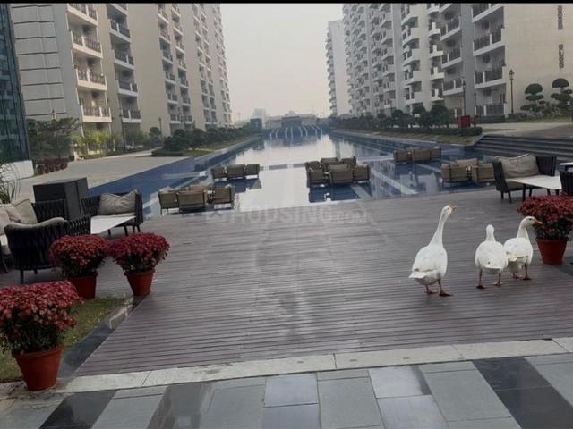 Flat for sale in Hariana
