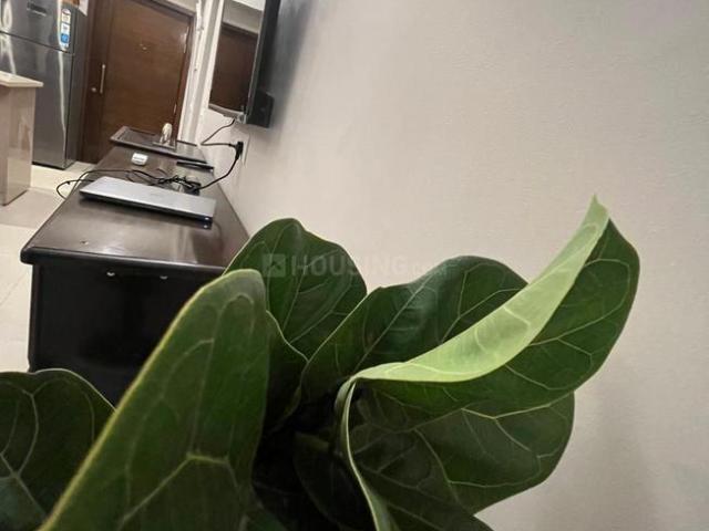 Flat for rent in Hariana