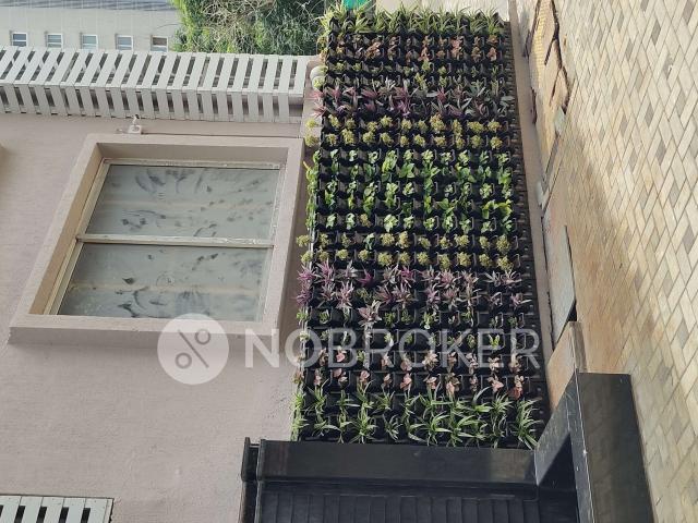 Property for rent in Bangalore East, Cox Town - Bangalore