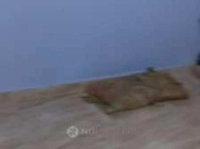Property for rent in Poonamallee, Tamil Nadu