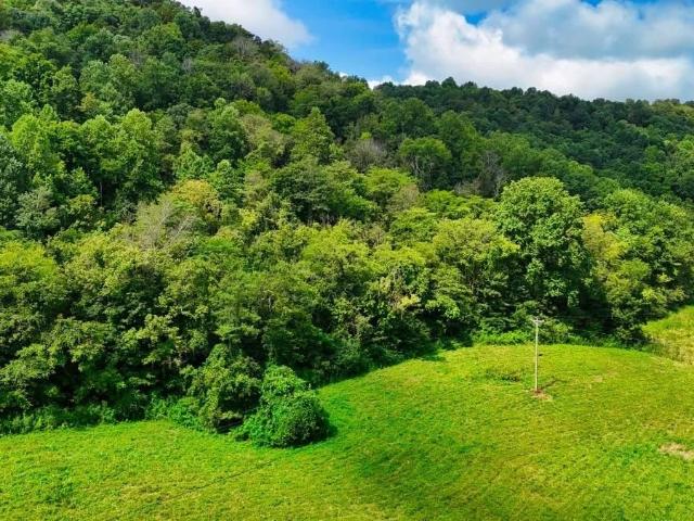 Land for sale in Tennessee