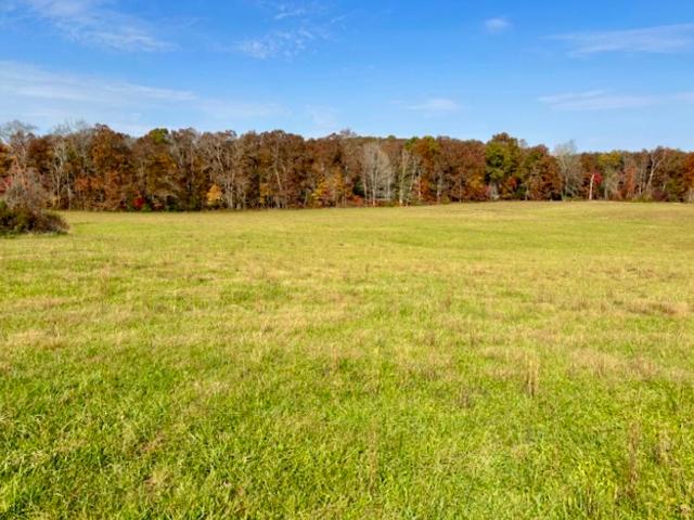 Farm for sale in Booneville, Owsley County