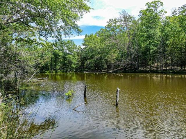 Land for sale in Union, South Carolina