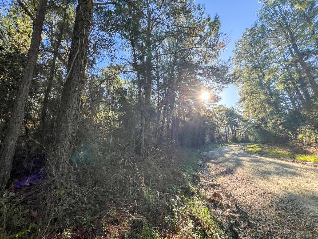 Land for sale in Walker, Texas