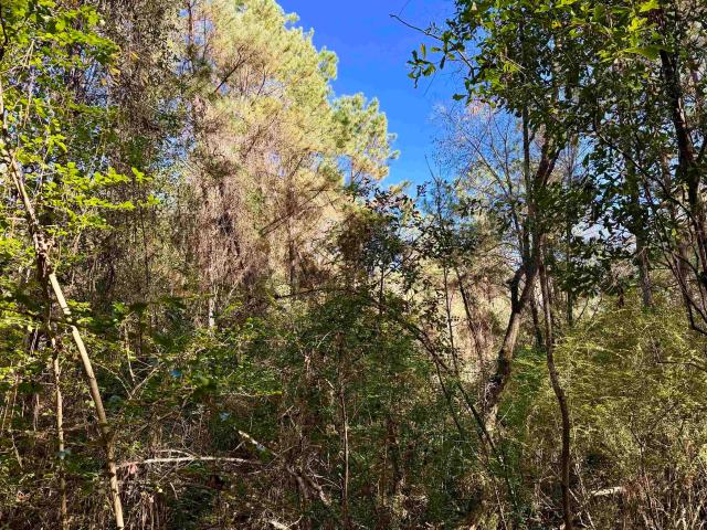 Property for sale in Saint Helena, Louisiana