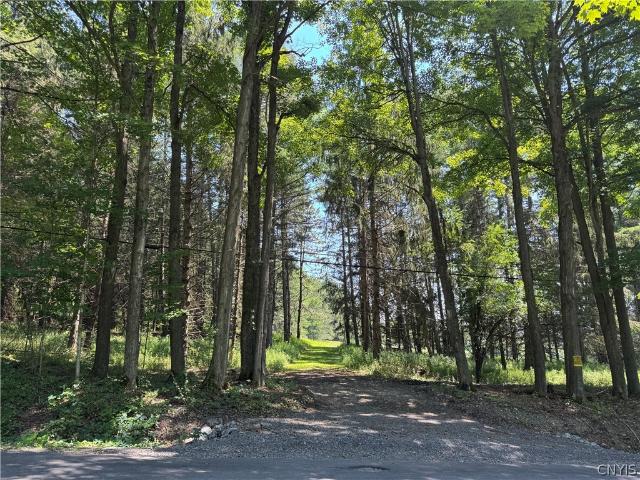 Land for sale in Hamilton, New York