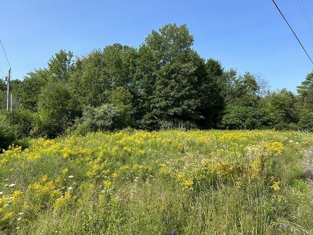 Land for sale in Waldo, Maine