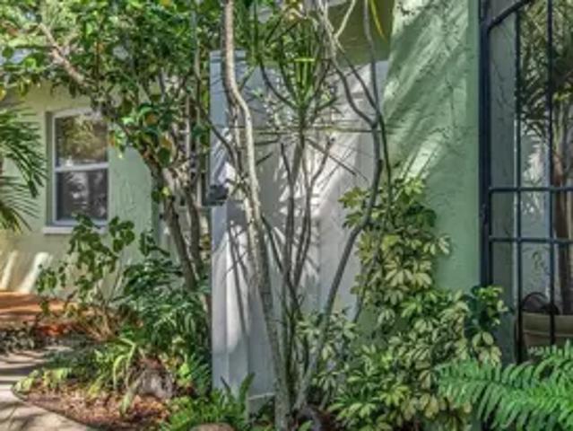 Apartment for rent in Dunedin