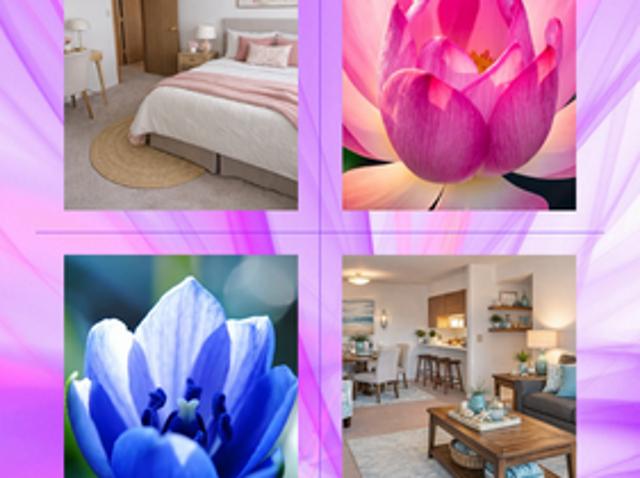 Apartment for rent in Tecumseh, Michigan