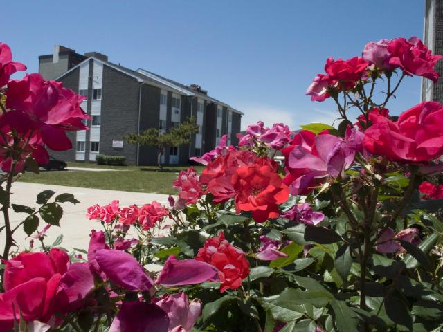 Apartment for rent in Atlantic City