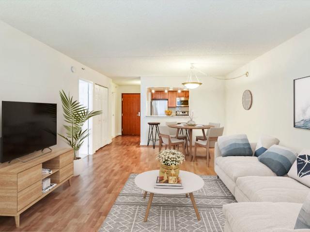 Apartment for rent in Silver Spring, Maryland