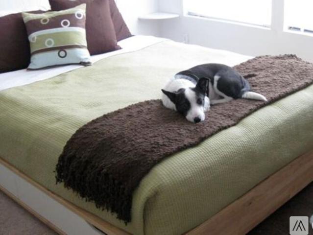 Apartment for rent in San Rafael, California
