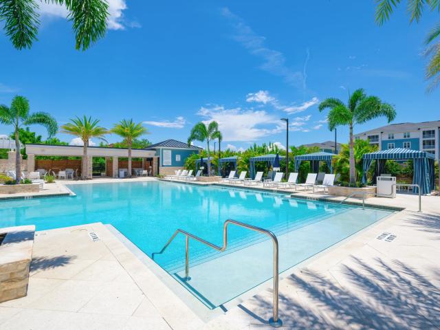 Apartment for rent in Clearwater
