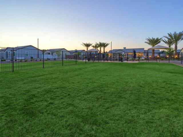 Apartment for rent in Surprise, Arizona