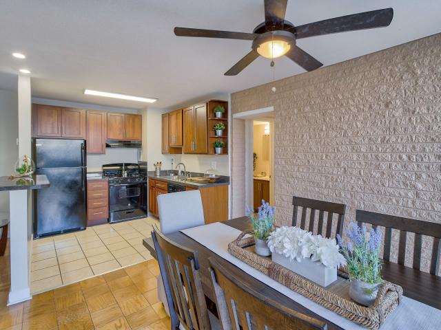 Apartment for rent in Adelphi, Maryland