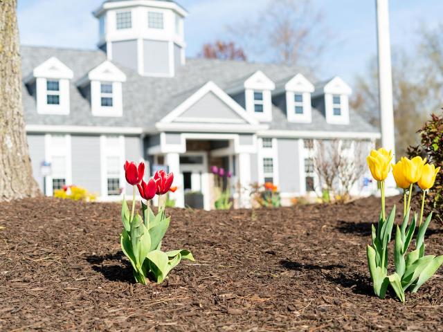 Apartment for rent in Milford