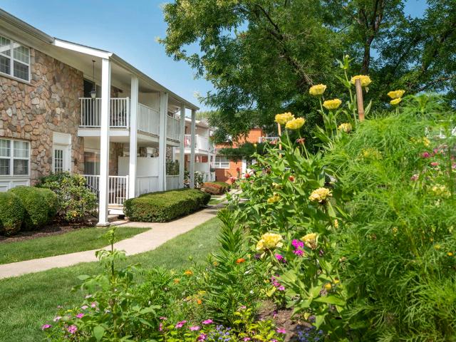 Apartment for rent in Chatham