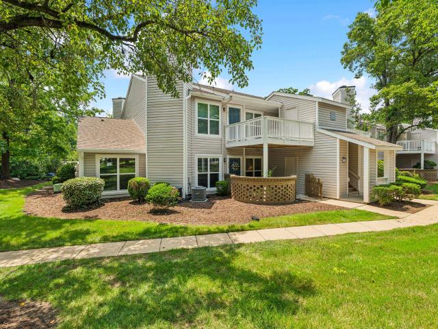 Apartment for rent in Chapel Hill, North Carolina