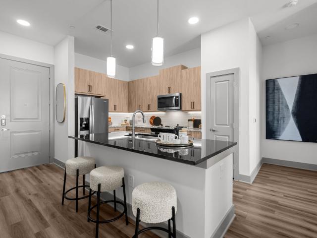 Apartment for rent in The Colony