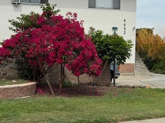 Apartment for rent in Jacumba, California