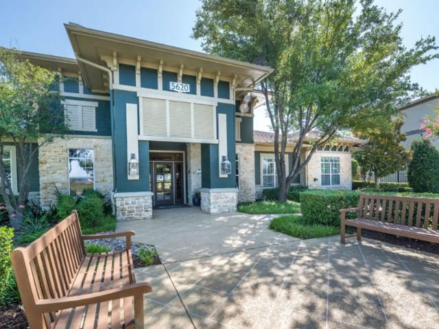 Apartment for rent in The Colony