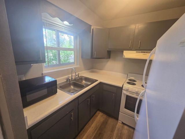 Apartment for rent in Colorado Springs, Colorado