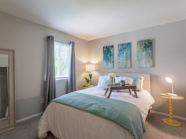 Apartment for rent in Chesterfield